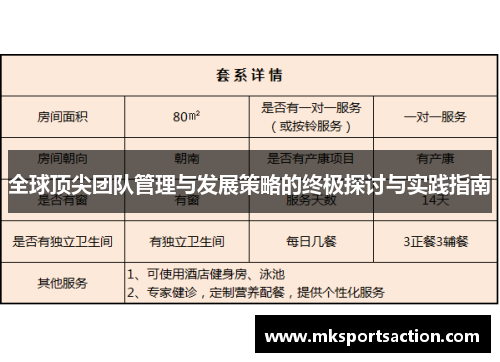 全球顶尖团队管理与发展策略的终极探讨与实践指南