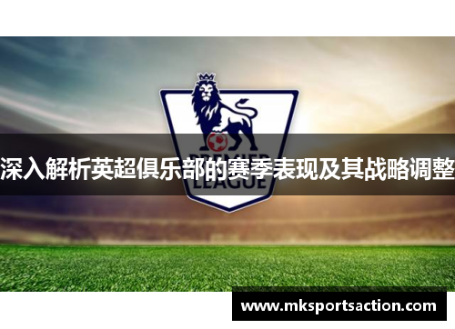 深入解析英超俱乐部的赛季表现及其战略调整