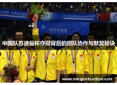 中国队苏迪曼杯夺冠背后的团队协作与默契秘诀